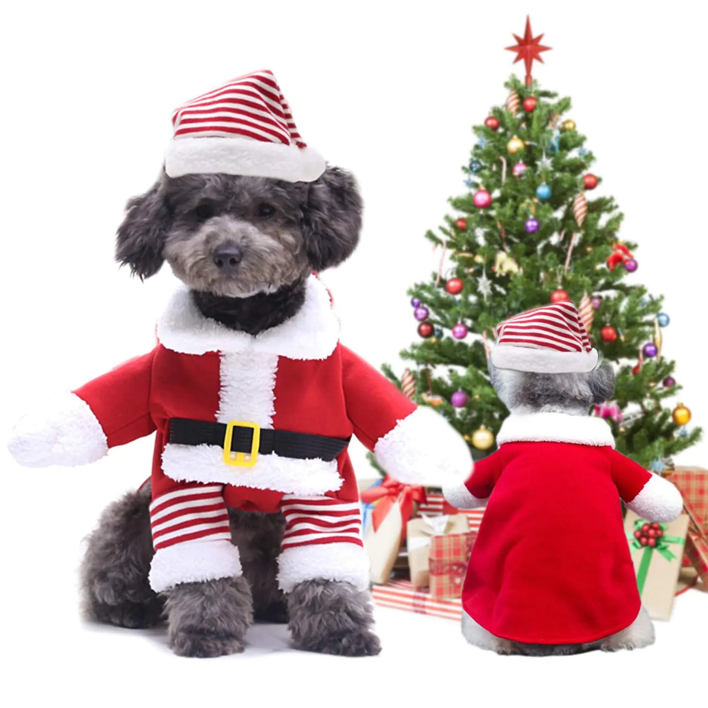 Funny Christmas Dog Costumes for Small Dogs