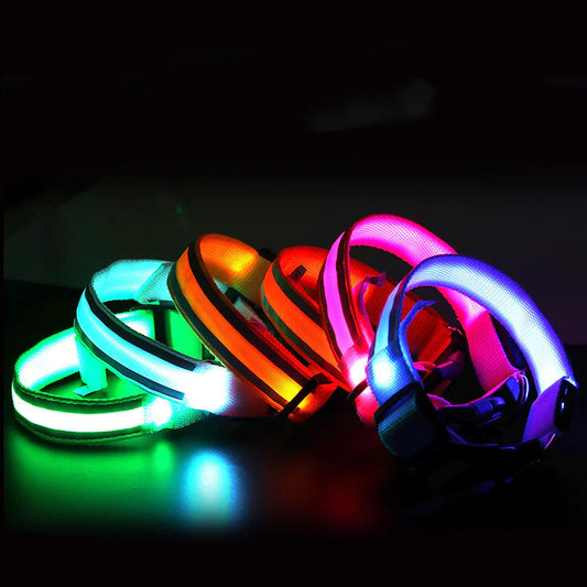 Anti-Lost LED Luminous Dog Collar – Rechargeable, Reflective Safety Pet Collar